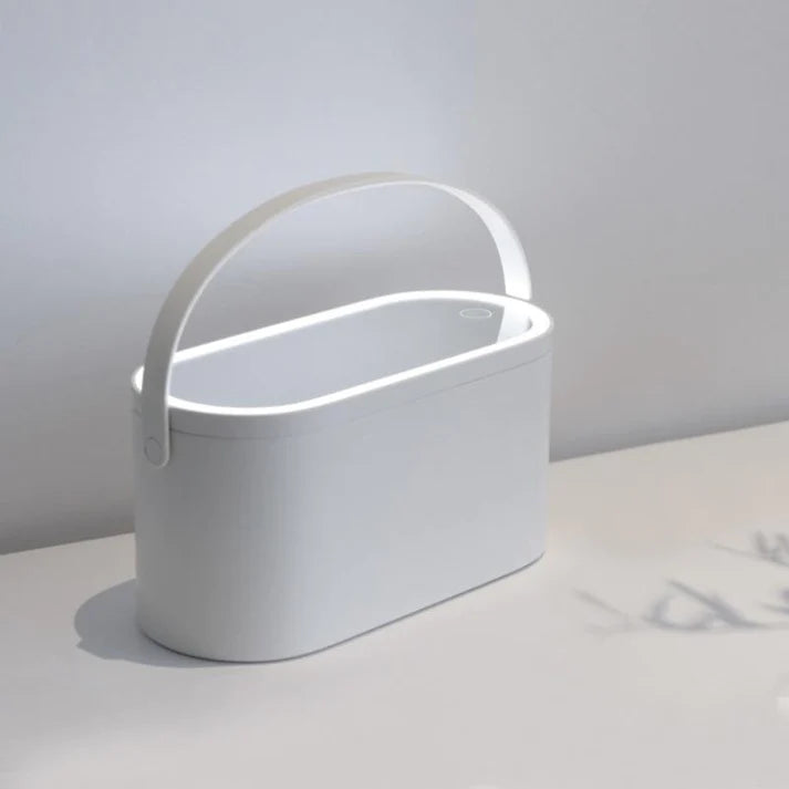 Portable Makeup Organizer Box with LED Light Mirror